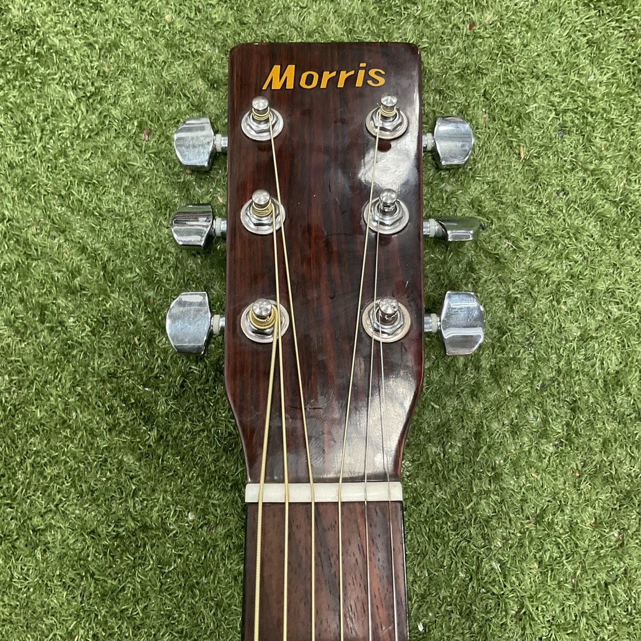 กีต้าร์โปร่ง Morris : MF-208