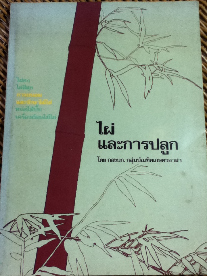 ไผ่และการปลูก/ กองบก.กลุ่มบัณฑิตเกษตรอาสา