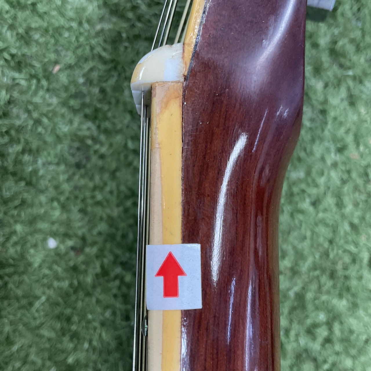 กีต้าร์โปร่ง Morris : W-30