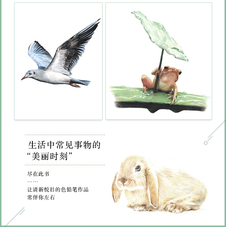 (Pre-order) หนังสือสอนระบายสีไม้ภาพทั่วไป "Fresh"