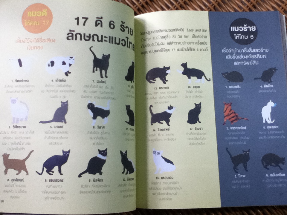 เรื่องแบบนี้ มีแต่ไทยๆ/ เวทิน ชาติกุล, ภาคิน ลิขิตธนกุล