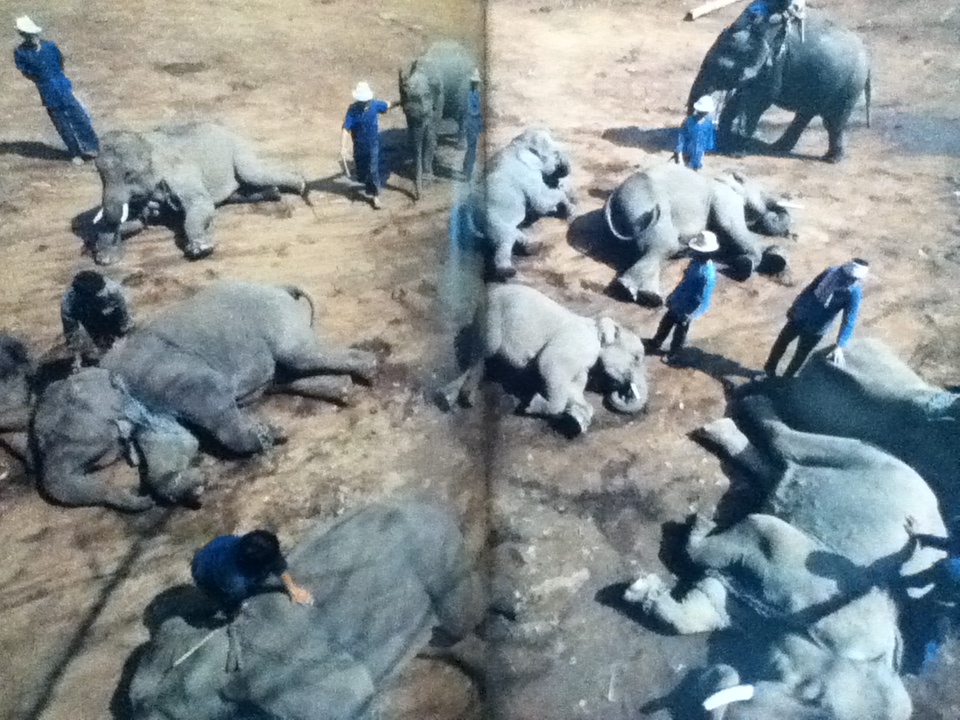 THAILAND SEVEN DAYS IN THE KINGDOM