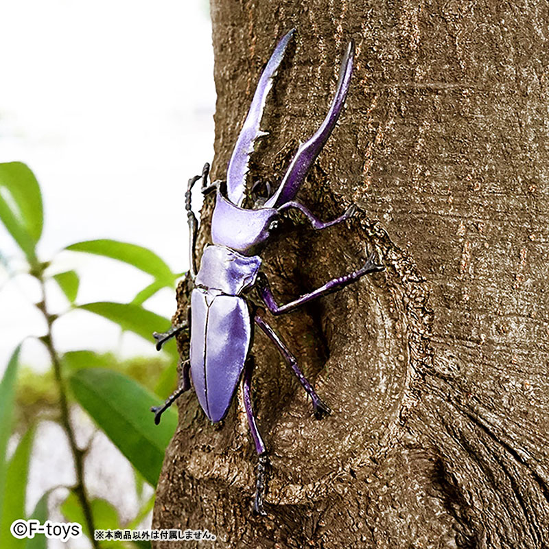 Insect Hunter Beetle x Stag Beetle 10Pack BOX (CANDY TOY)(Pre-order)