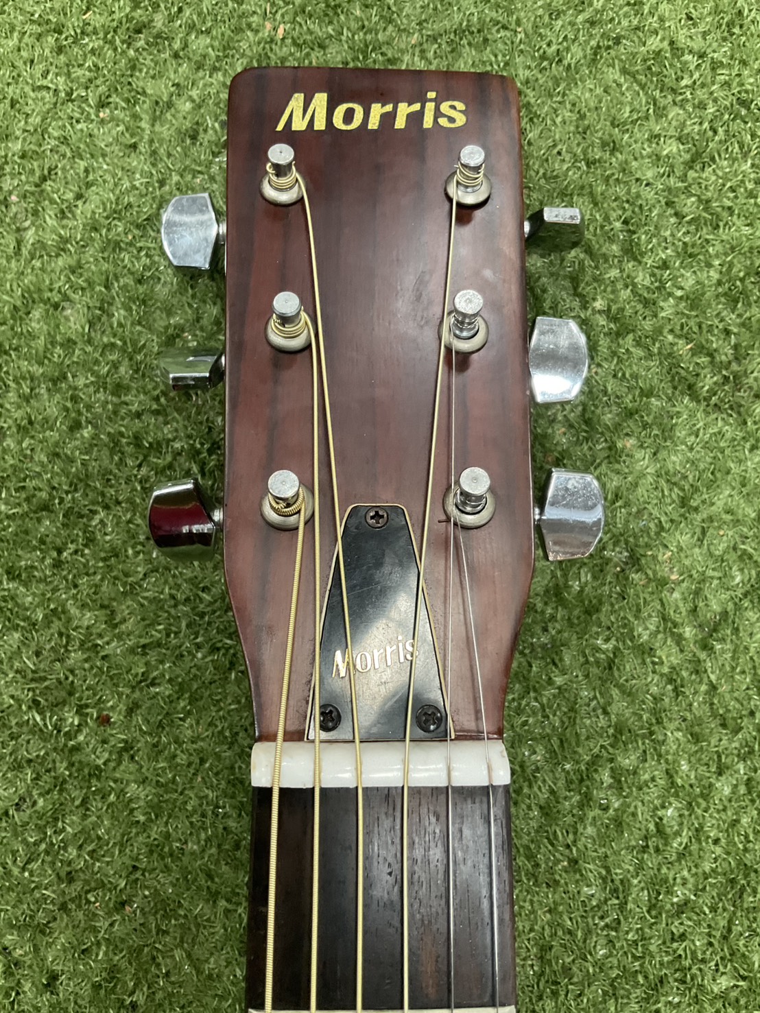 กีต้าร์โปร่ง Morris : W-15