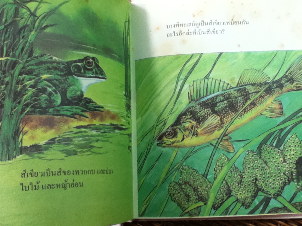 CHARLIE BROWN'S 'CYCLOPEDIA Volume 1-15