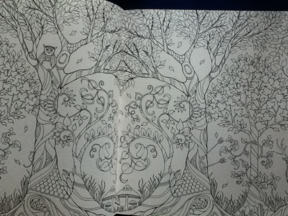 ป่าต้องมนตร์ Enchanted Forest