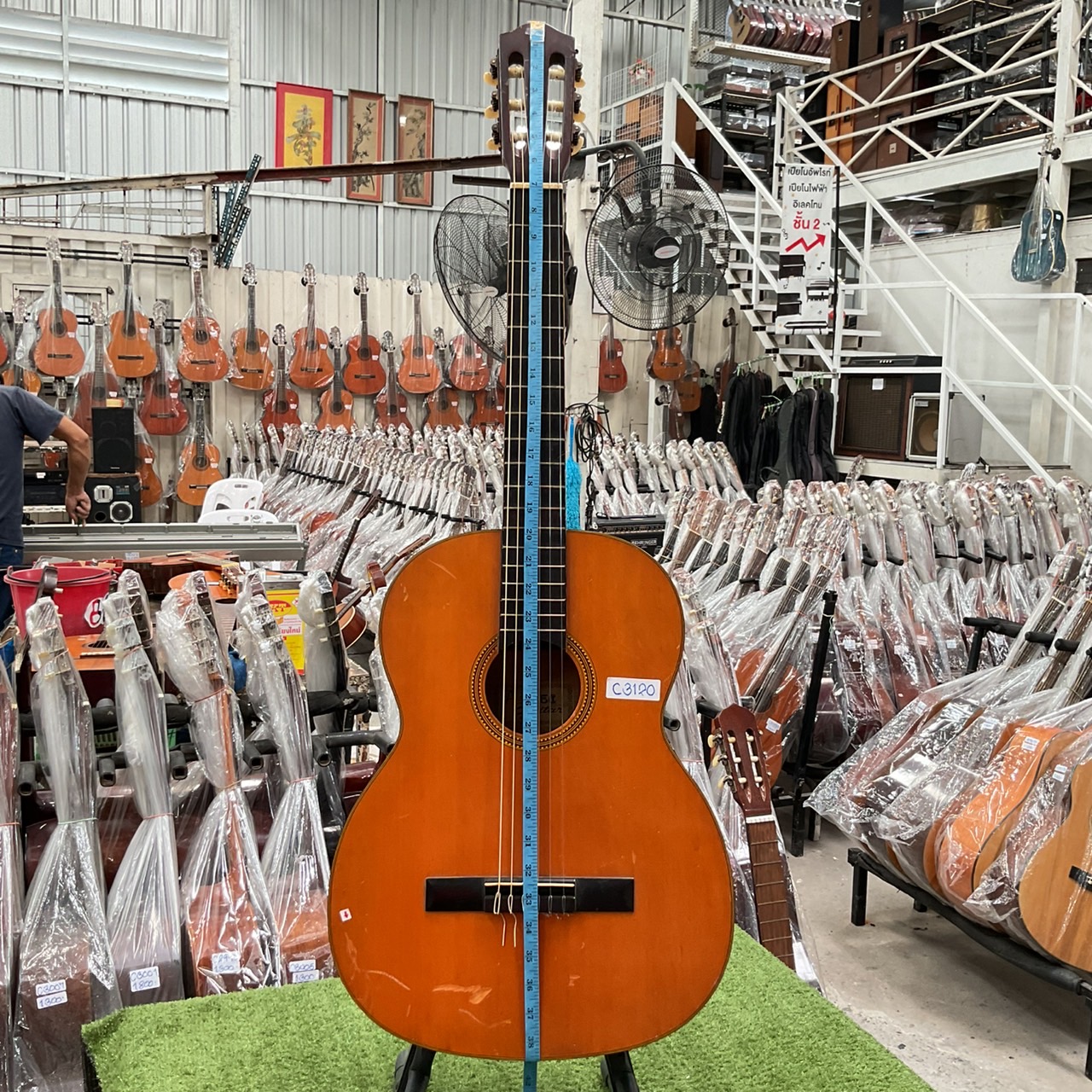 กีต้าร์คลาสสิค Azalea