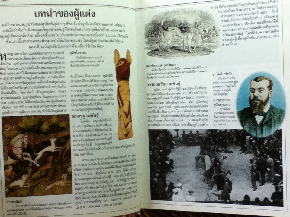 สุนัข คู่มือแนะนำสุนัขพันธุ์ต่างๆ มากกว่า 300 พันธ์ุจากทั่วโลก/ เดวิด อัลเดอตัน