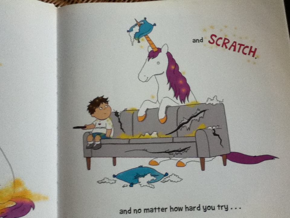 You Don't Want a UNICORN!/ Ame dyckman