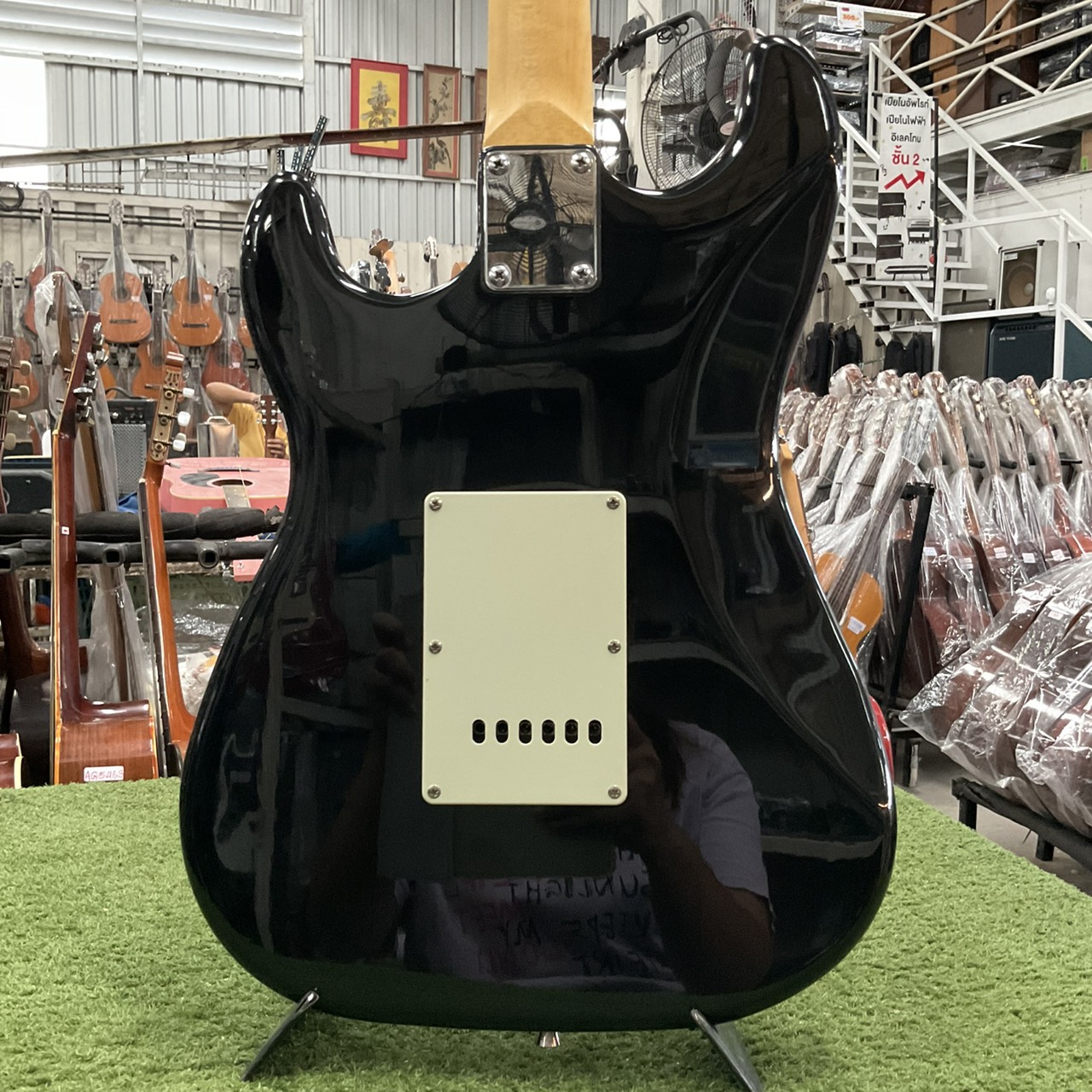 กีต้าร์ไฟฟ้า Bloom