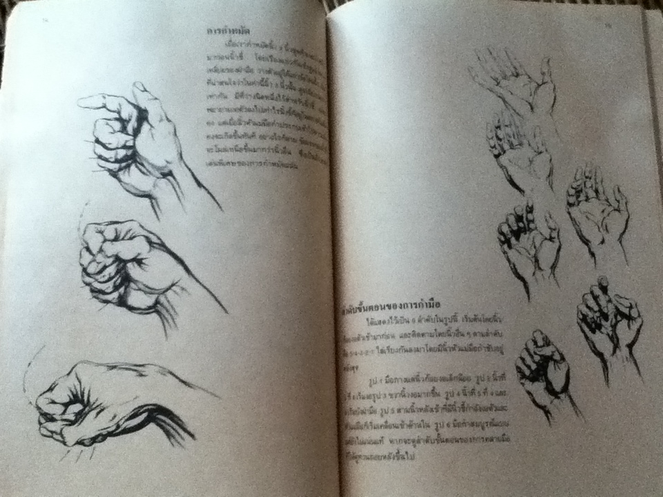 มือ กายวิภาคและการสร้างสรรค์/ เบิร์น โฮการ์ธ