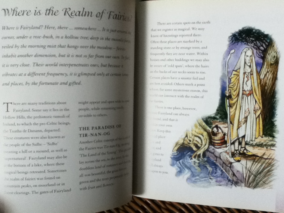 The Fairy Bible/ Teresa Moorey