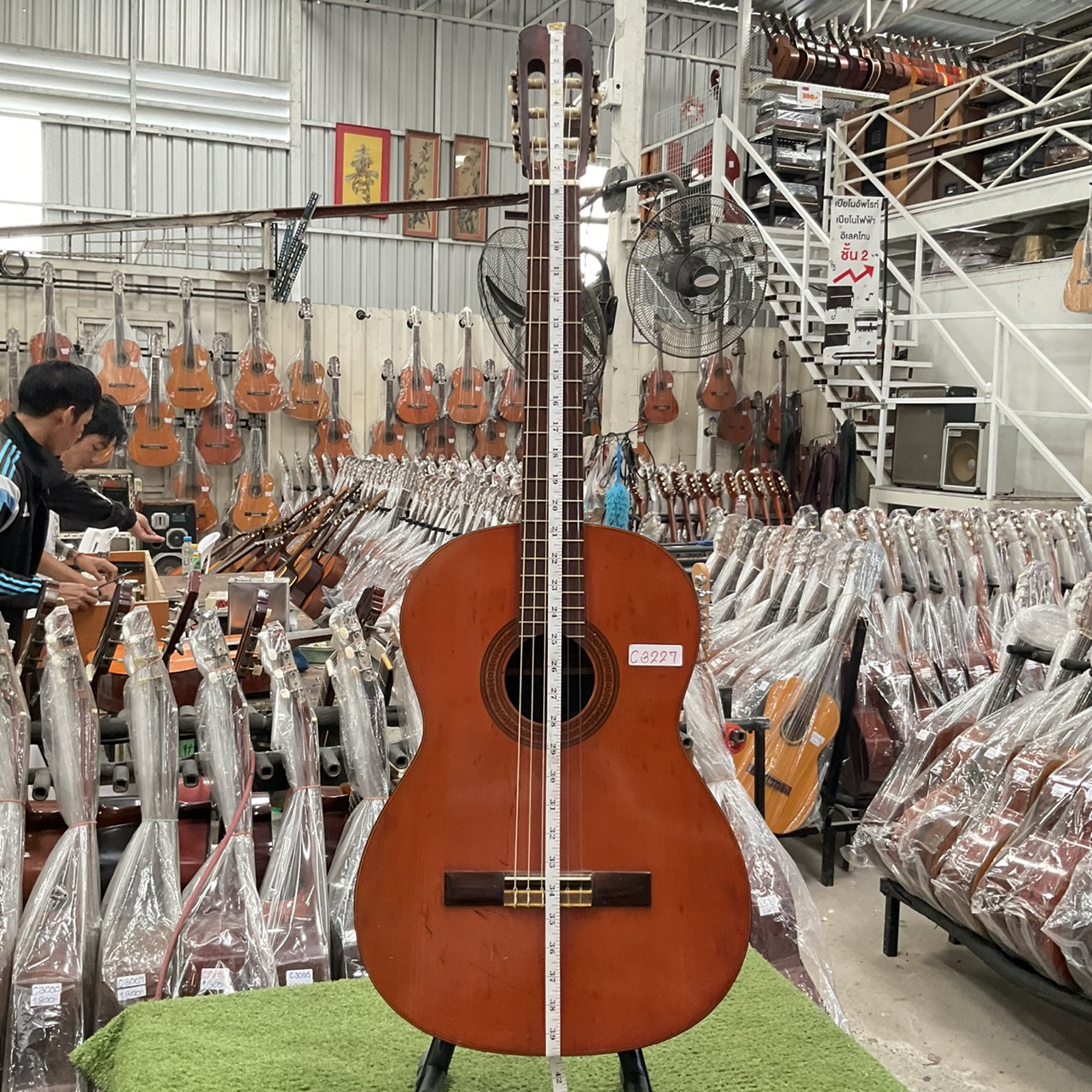 กีต้าร์คลาสสิค SUZUKI : C-10