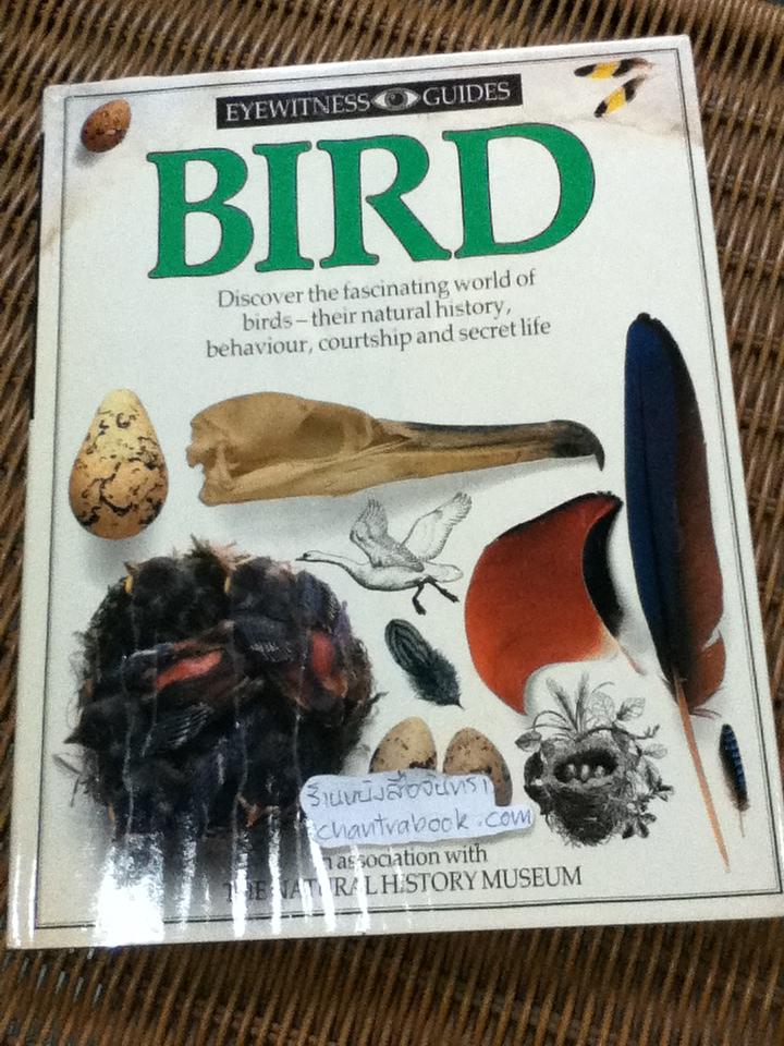 EYEWITNESS GUIDES 9 เล่ม