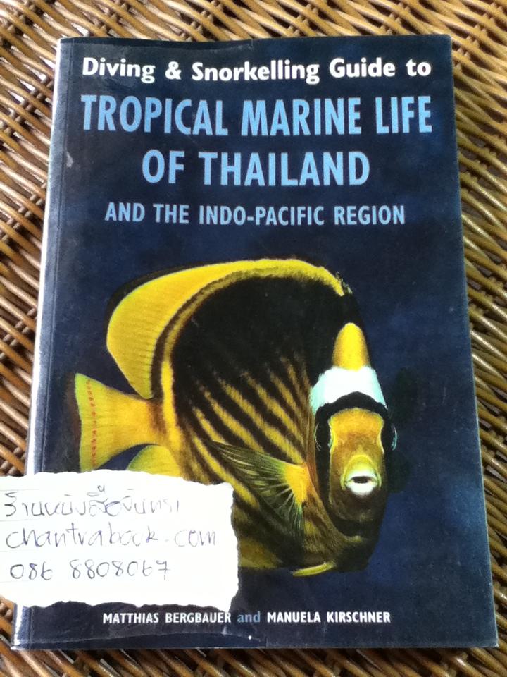 Diving & Snorkelling Guide to TROPICAL MARINE LIFE OF THAILAND/ Matthias Bergbauer