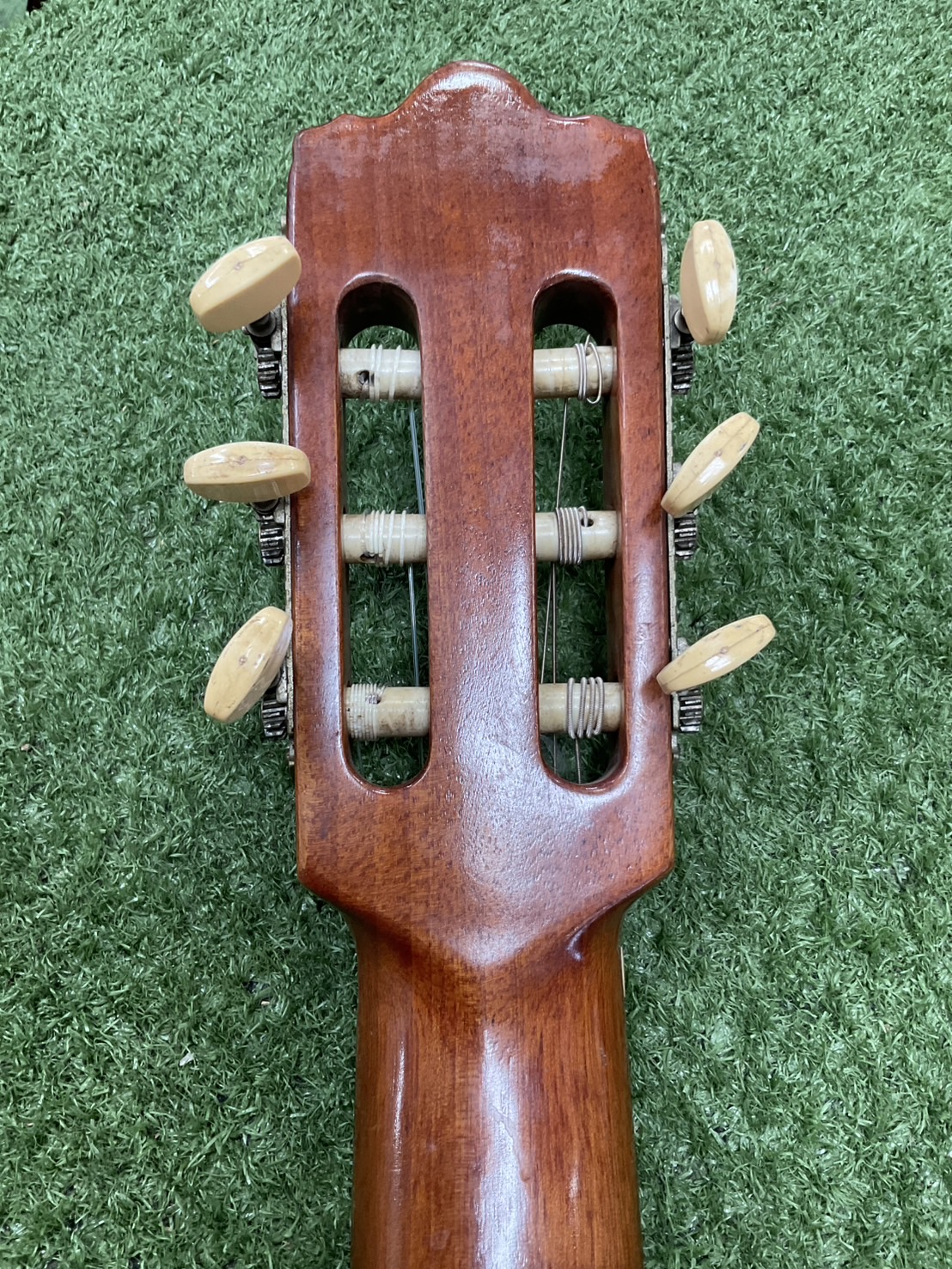 กีต้าร์คลาสสิค Abe Gut : 65s