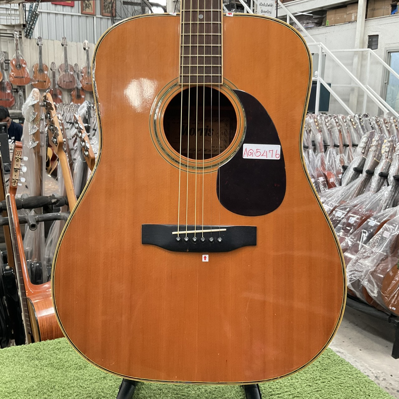 กีต้าร์โปร่ง Morris : W-30