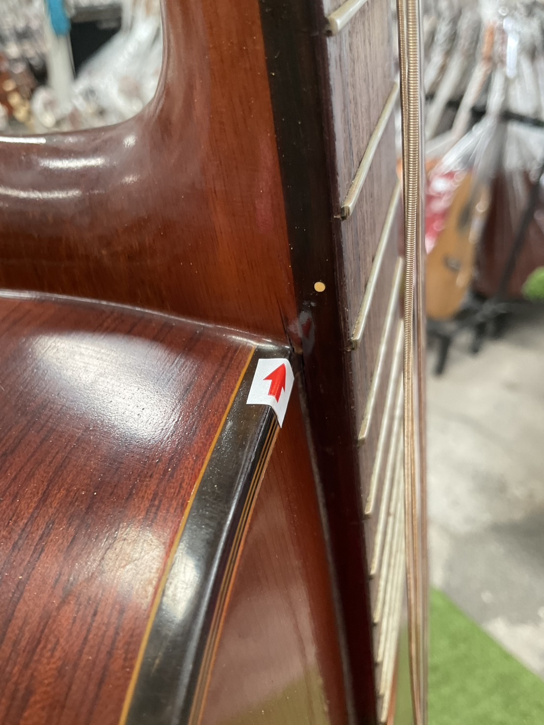 กีต้าร์คลาสสิค Abe Gut : 65s