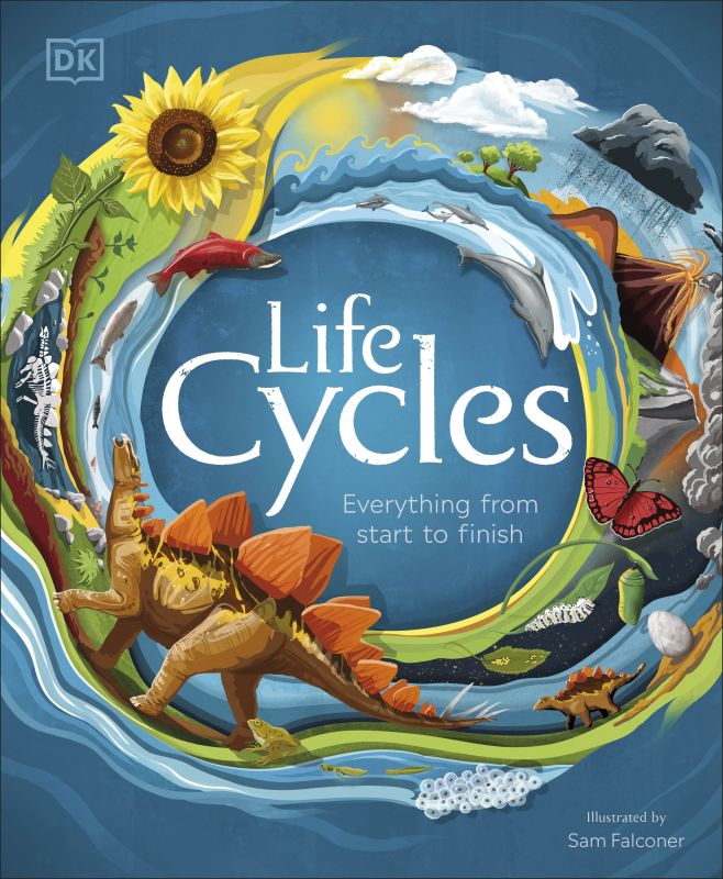 LIFE CYCLES BY DKTODAY