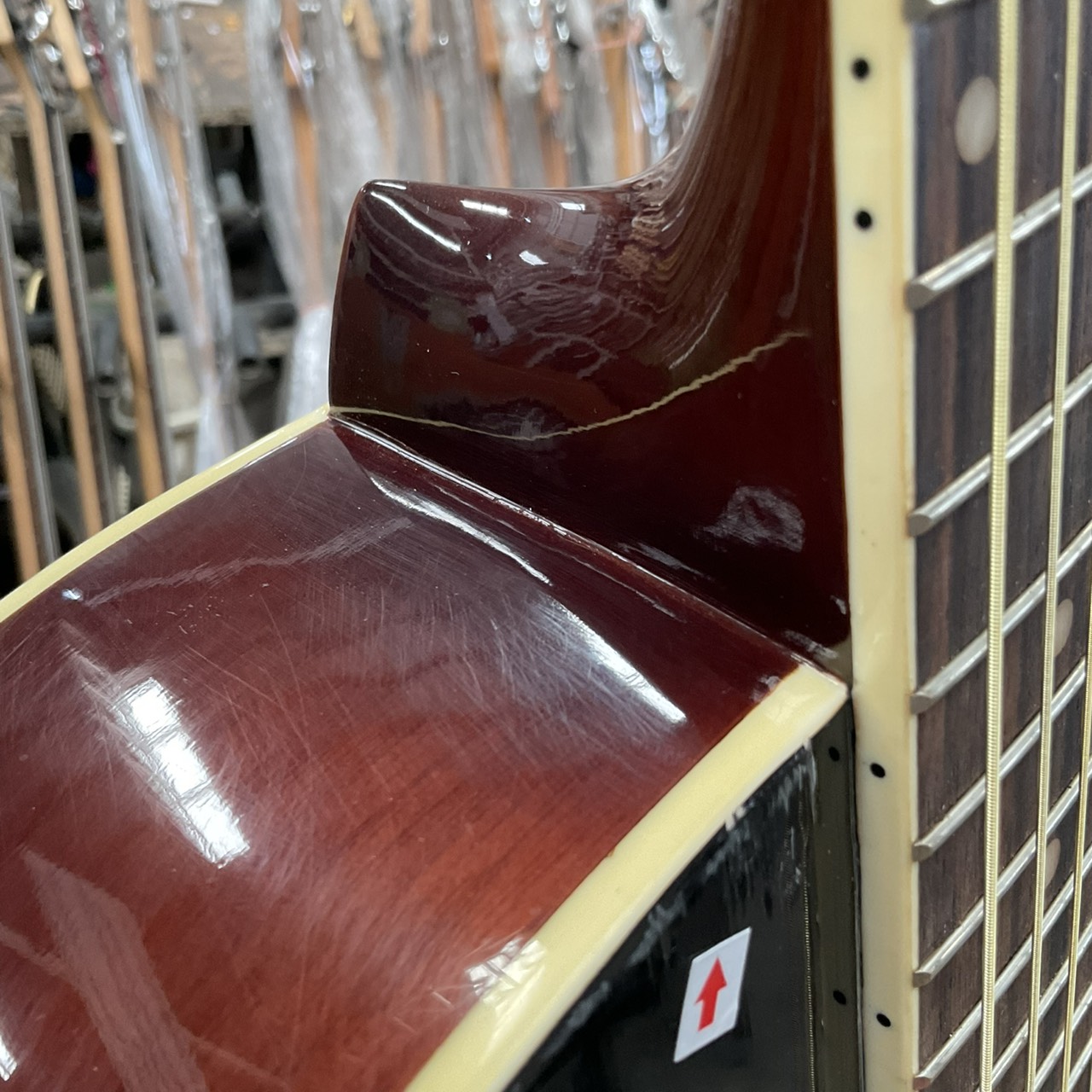 กีต้าร์โปร่ง Sepia Crue : FG1/VS