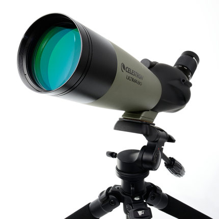กล้องส่องทางไกล ดูนก CELESTRON 22-66x100A
