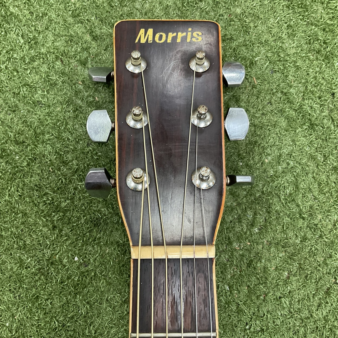 กีต้าร์โปร่ง Morris : W-25