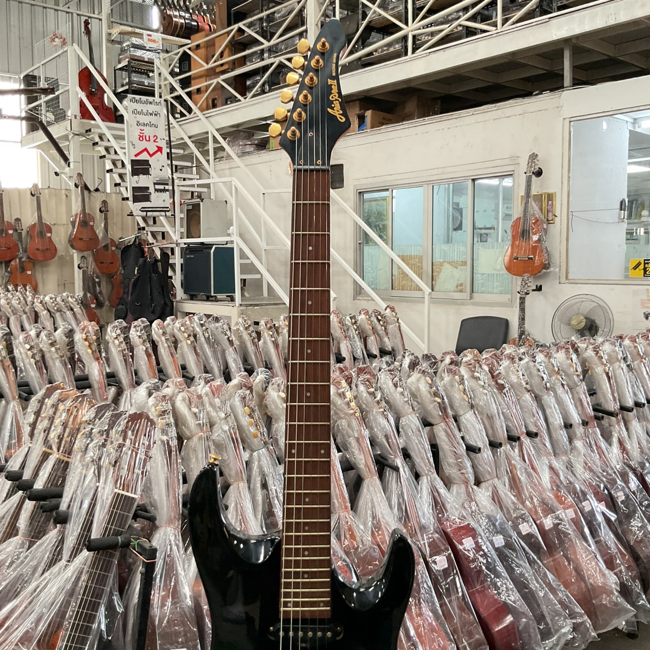 กีต้าร์ไฟฟ้า Aria Pro II : MAGNA