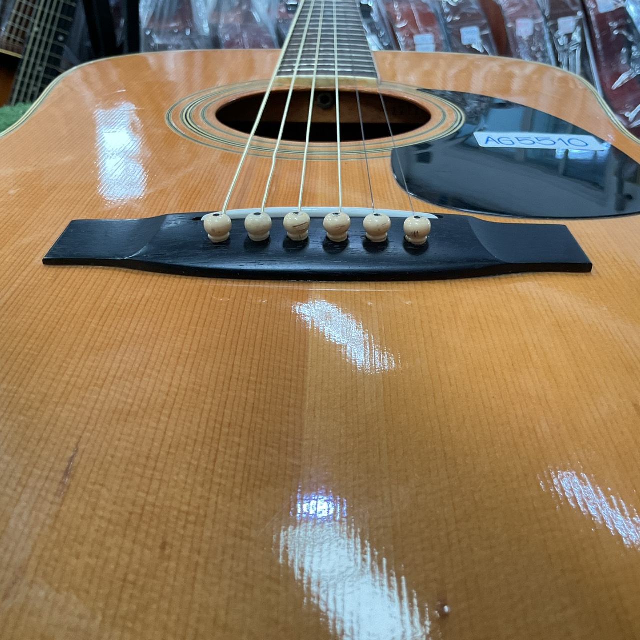 กีต้าร์โปร่ง Morales : LYRE BIRD