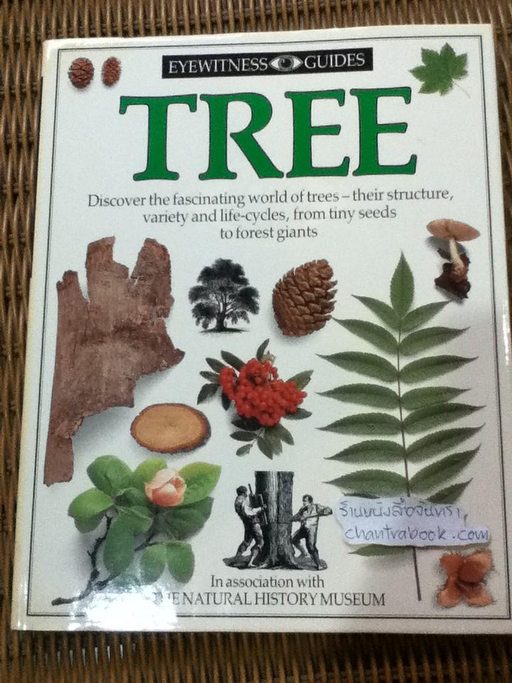 EYEWITNESS GUIDES 9 เล่ม