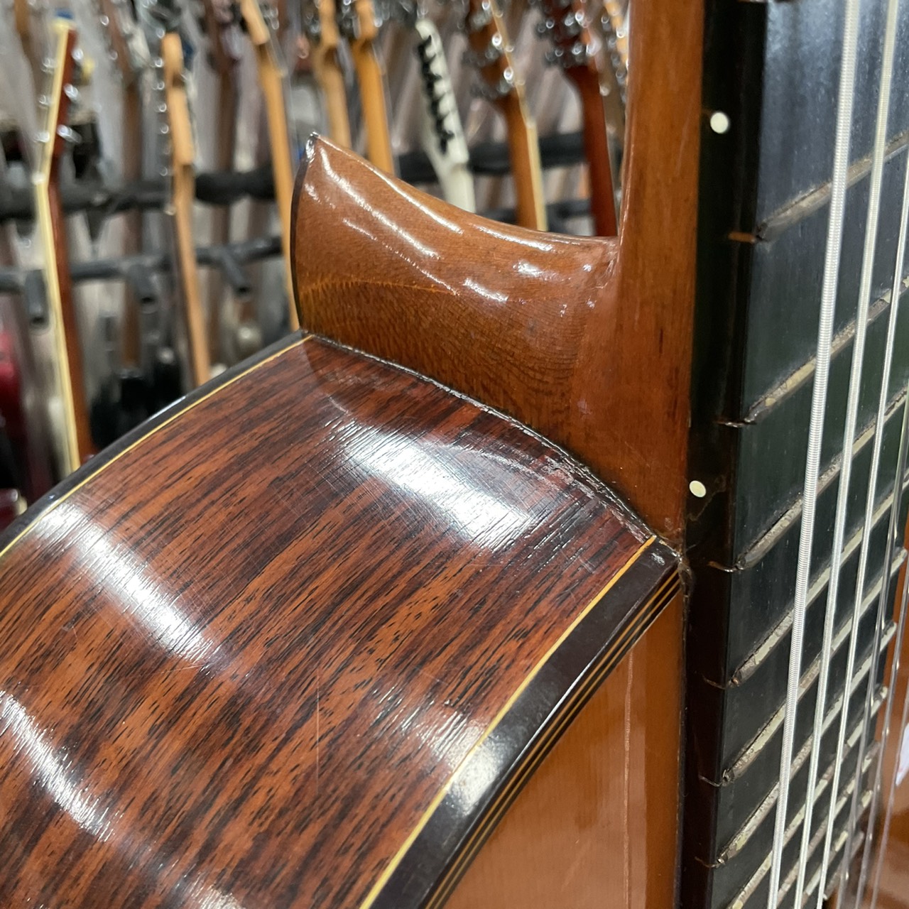 กีต้าร์คลาสสิค Shinano : No.61