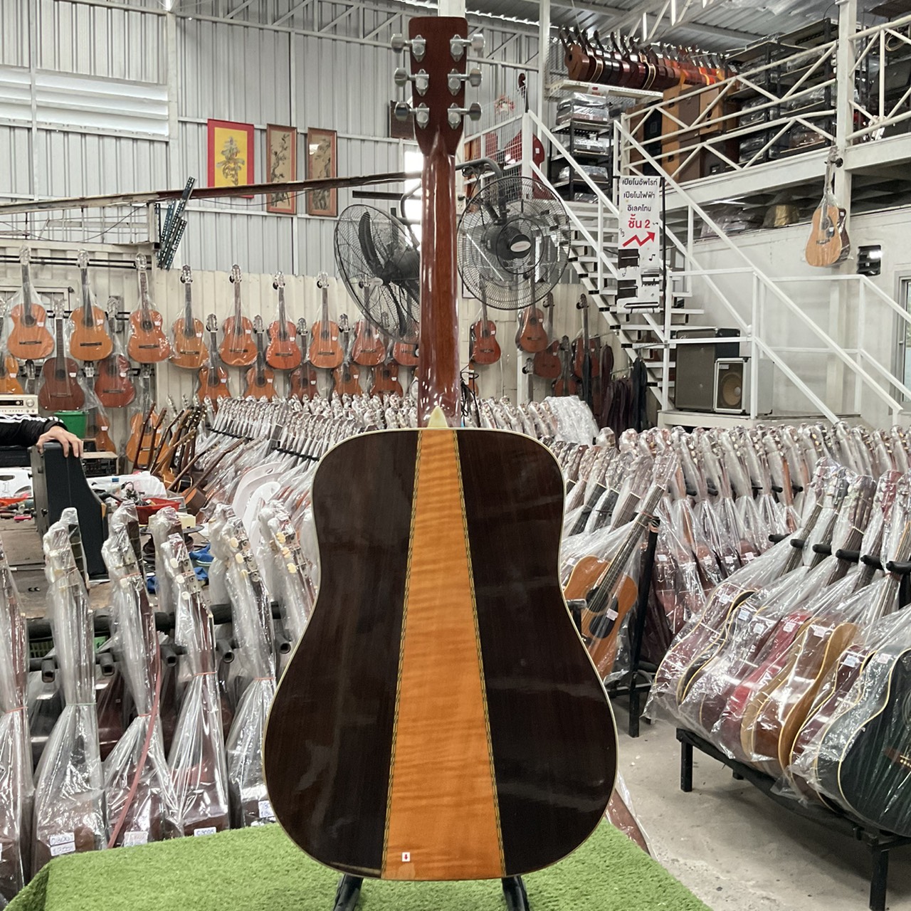 กีต้าร์โปร่ง Morris : W-50 (สำหรับมือซ้าย)