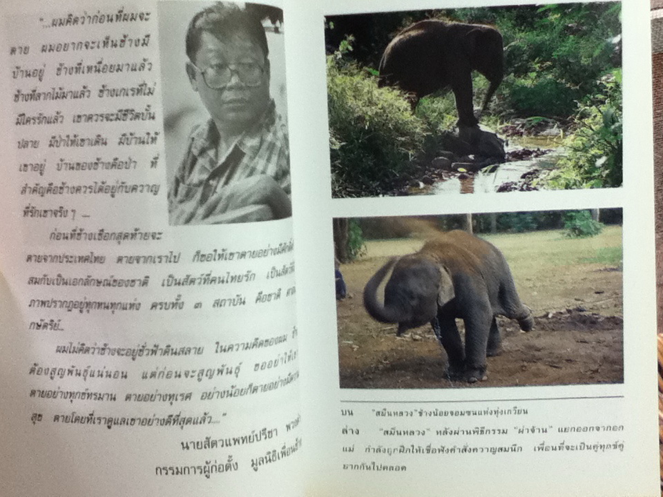 สาธุ...ช่วยลูกช้างด้วย/ ธีรภาพ โลหิตกุล