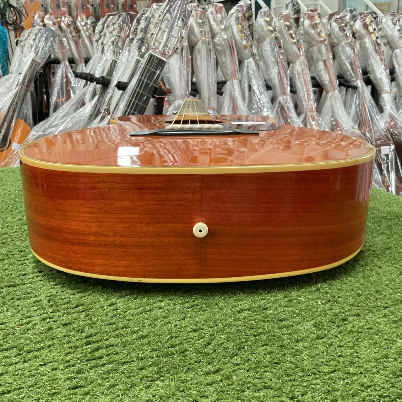 กีต้าร์โปร่ง Morris