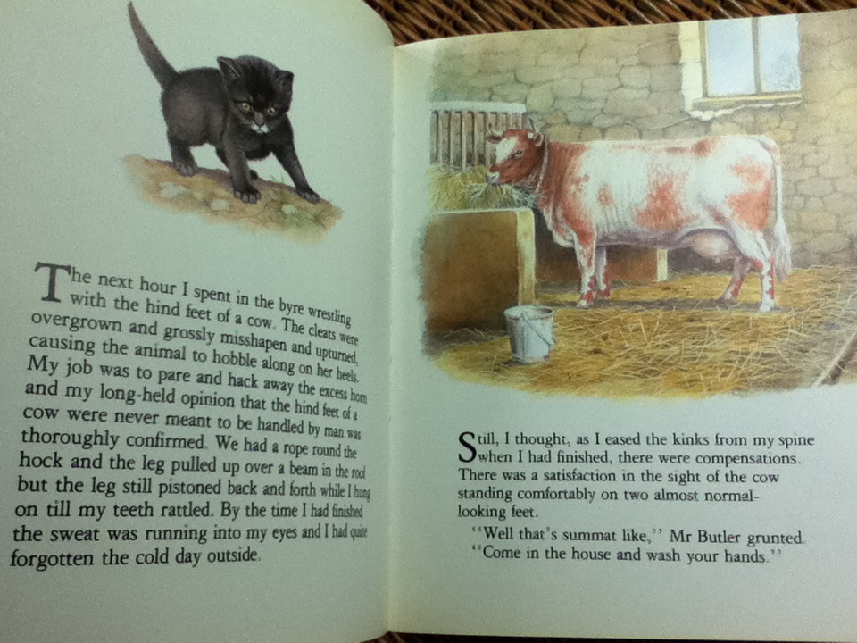 Moses the Kitten/ James Herriot