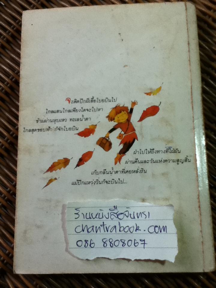 จะติดปีกผีเสื้อโบยบินไป/ ปะการัง