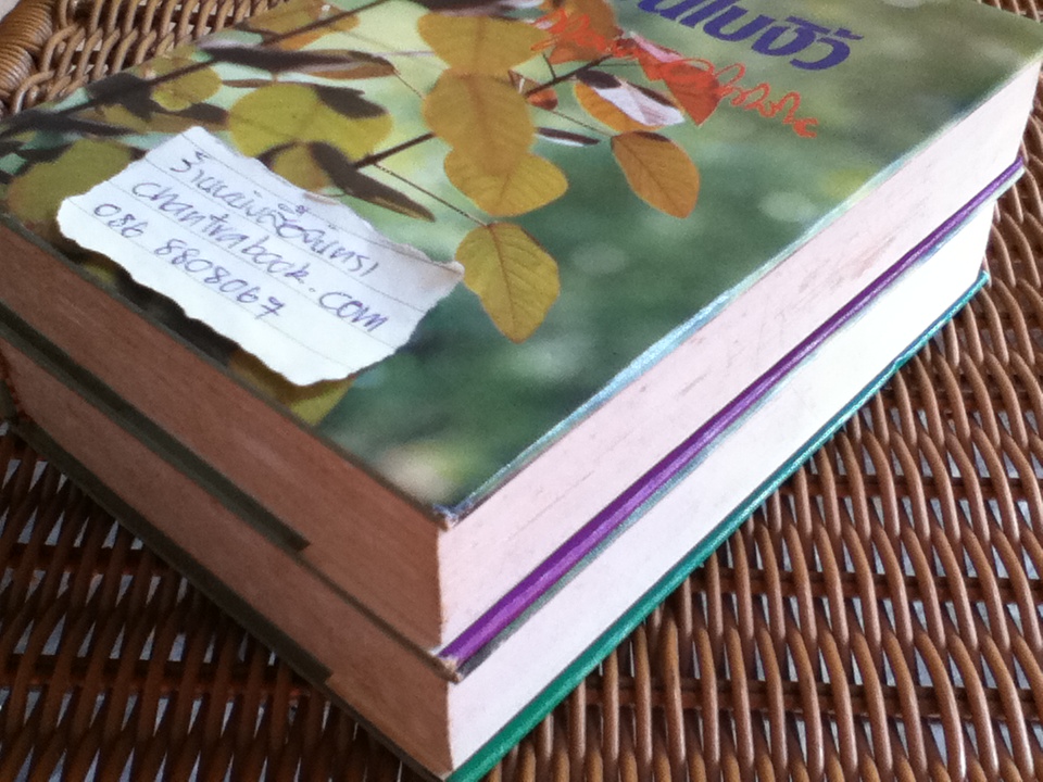 เพลงบินใบงิ้ว (2 เล่ม/จบ)/ กฤษณา อโศกสิน