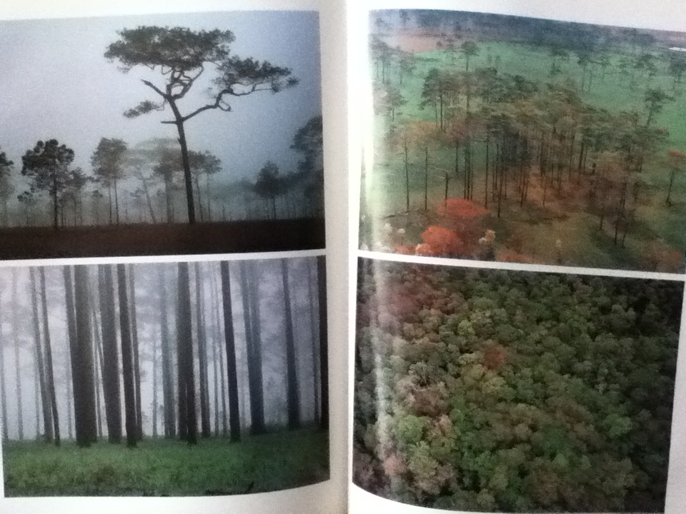 THAILAND SEVEN DAYS IN THE KINGDOM