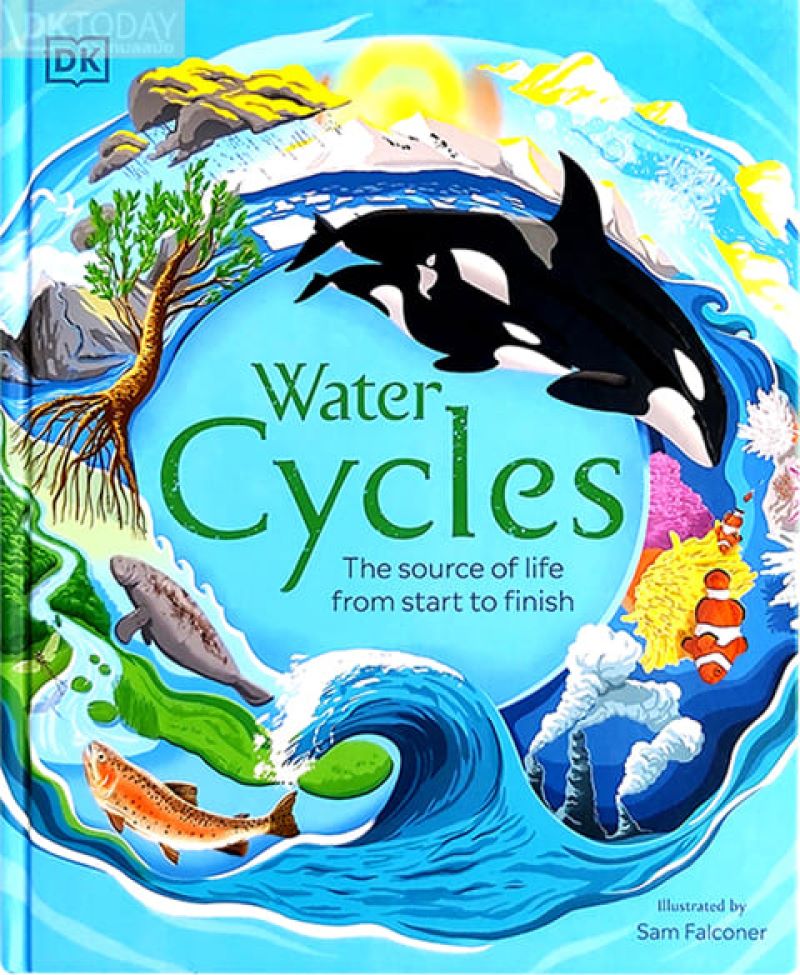 WATER CYCLES BY DKTODAY