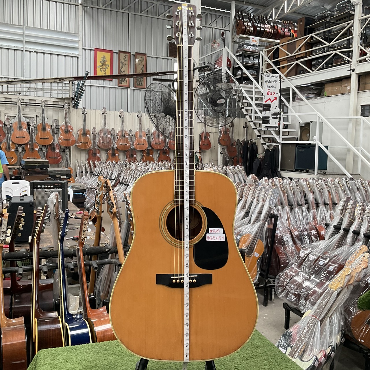 กีต้าร์โปร่ง Morris : W-20