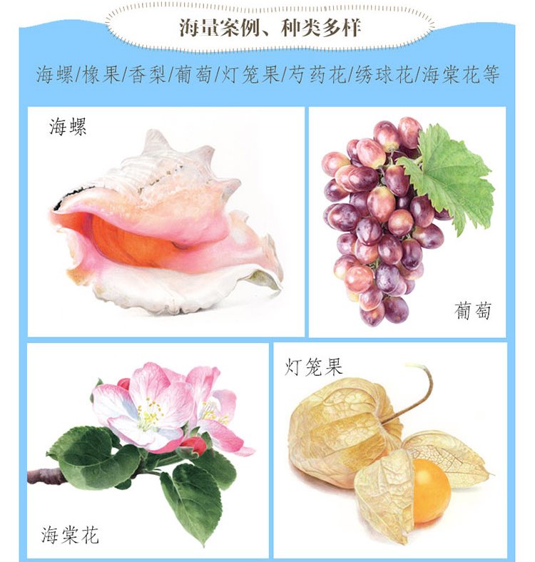 (Pre-order) หนังสือเทคนิคระบายสีไม้