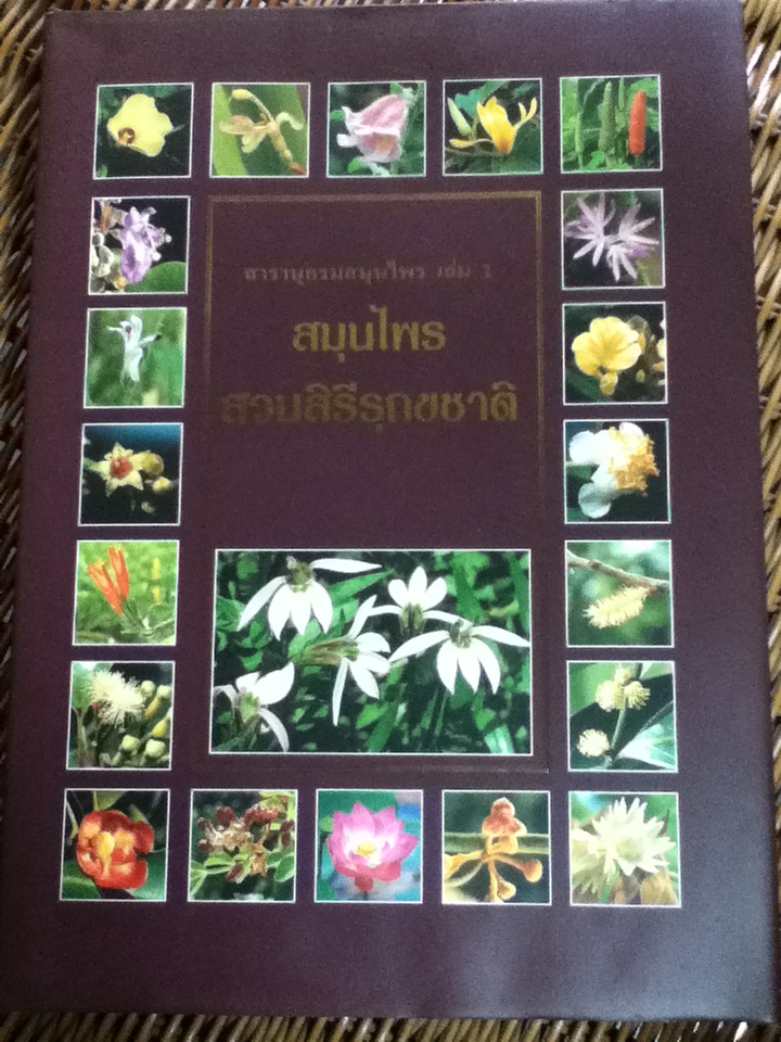 สารานุกรมสมุนไพร เล่ม 1 สมุนไพรสวนสิรีรุกขชาติ/ รศ.ดร.วงศ์สถิตย์ ฉั่วกุล และคณะ