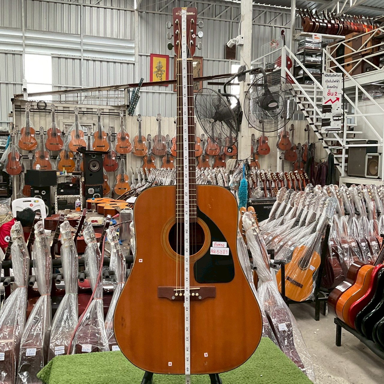 กีต้าร์โปร่ง Ariana : A790