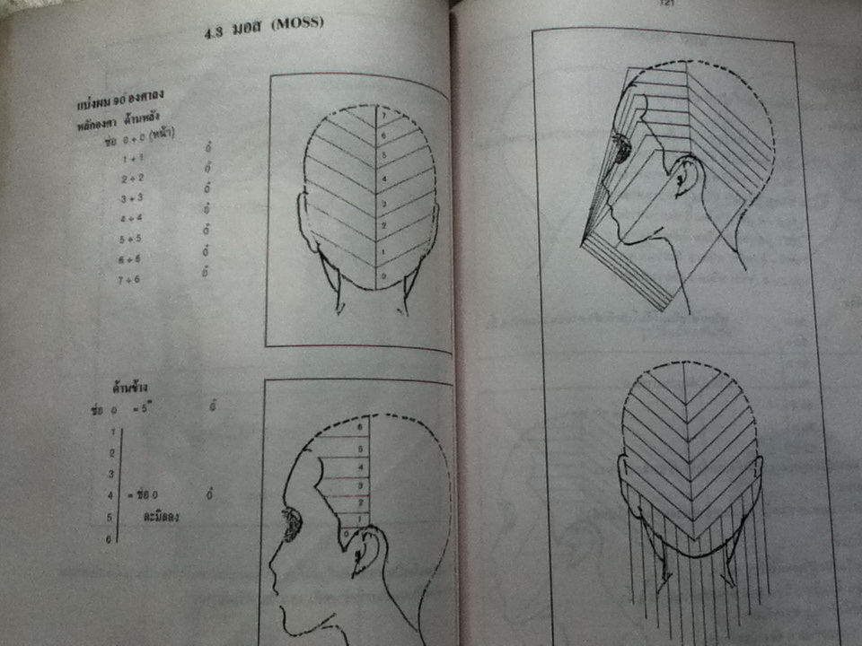 ทฤษฎีและปฏิบัติการทางช่างเสริมสวย