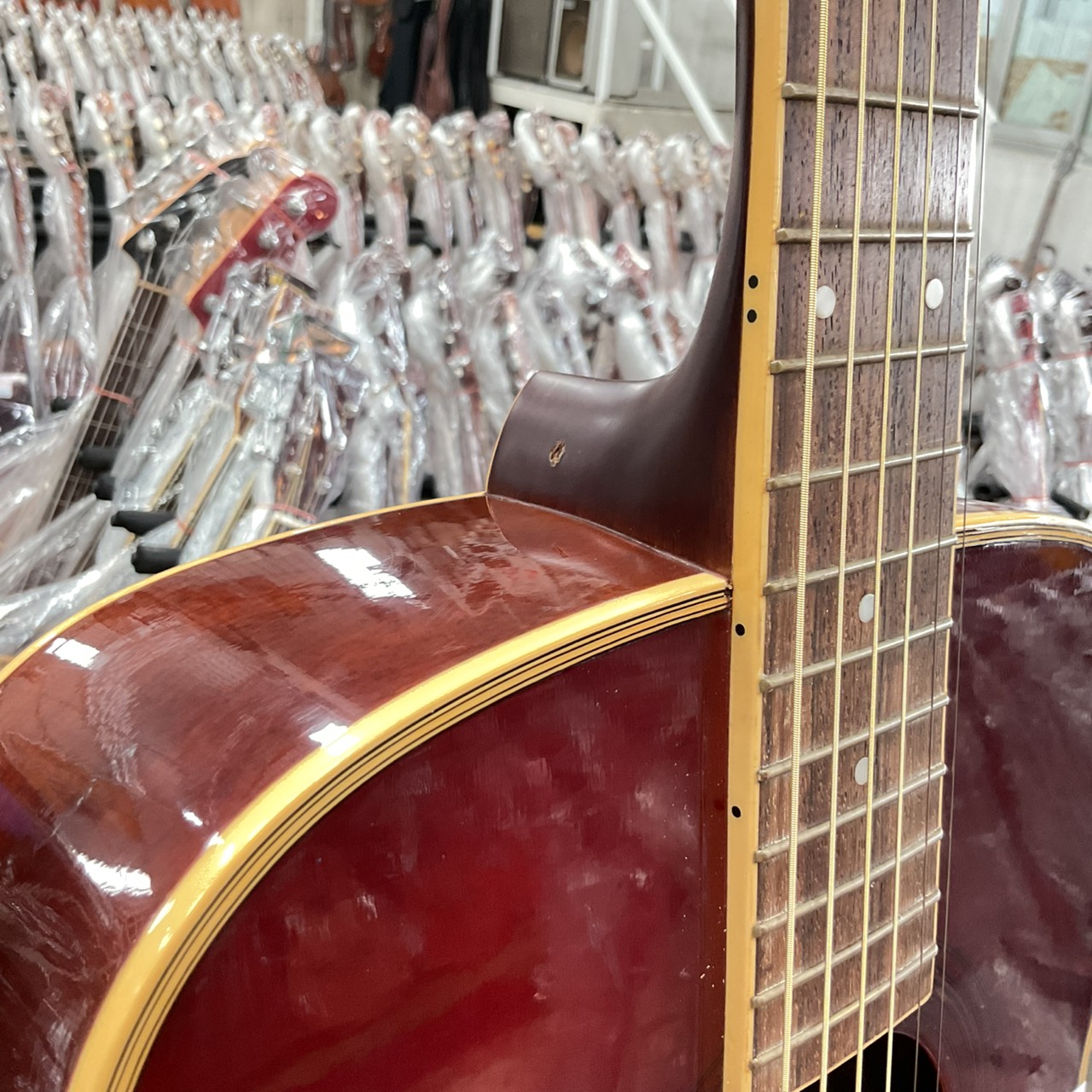 กีต้าร์โปร่ง Morris : MF-207