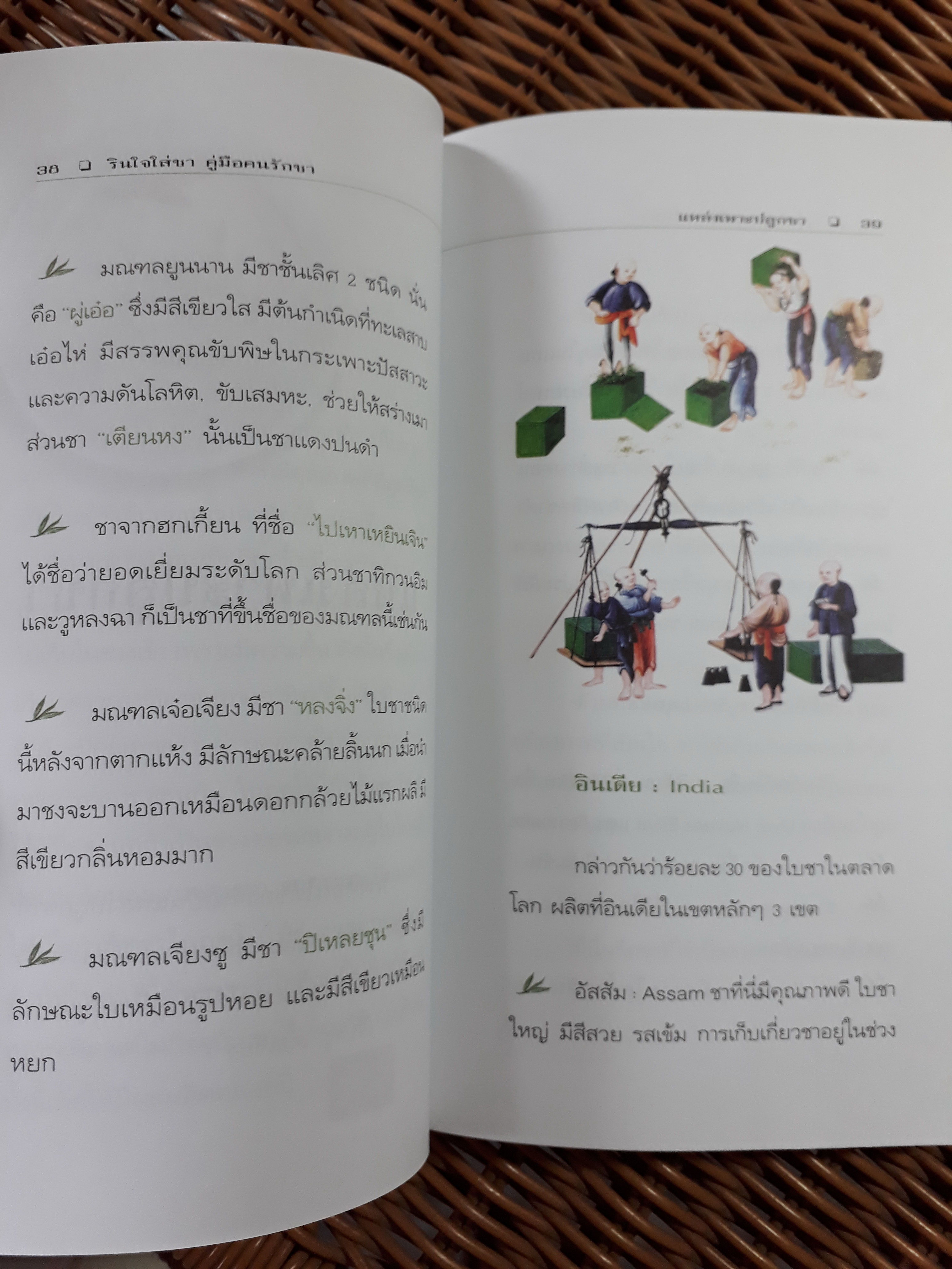 รินใจใส่ชา คู่มือคนรักชา/ ปรัชนันท์