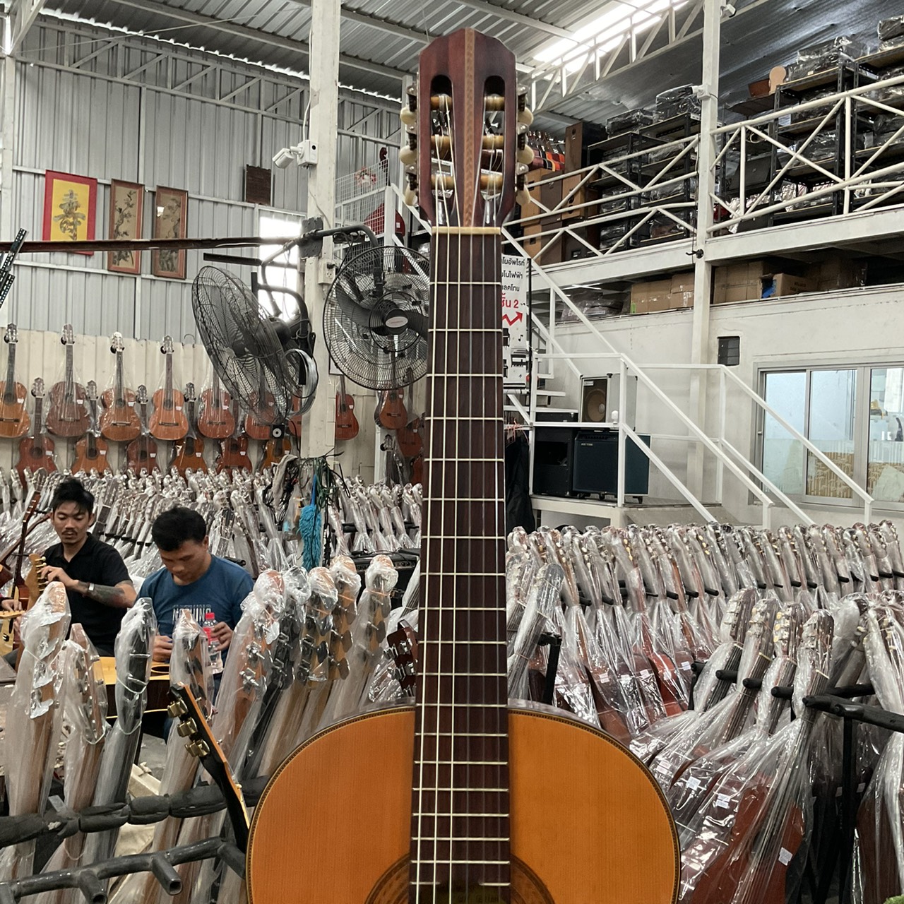 กีต้าร์คลาสสิค HASHIMOTO GUT : No.233