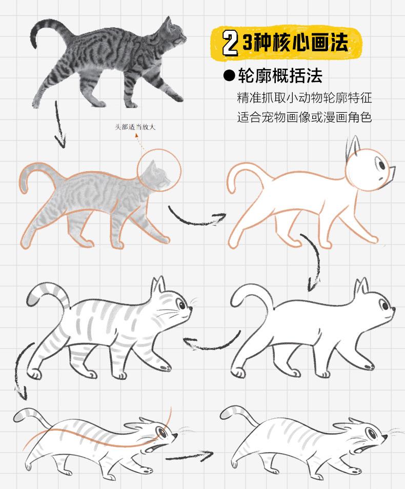 (ลดราคา-มีรอยจากการขนส่ง) หนังสือ HOW TO DRAW ANIMALS เทคนิควาดสัตว์และรวมภาพตัวอย่าง