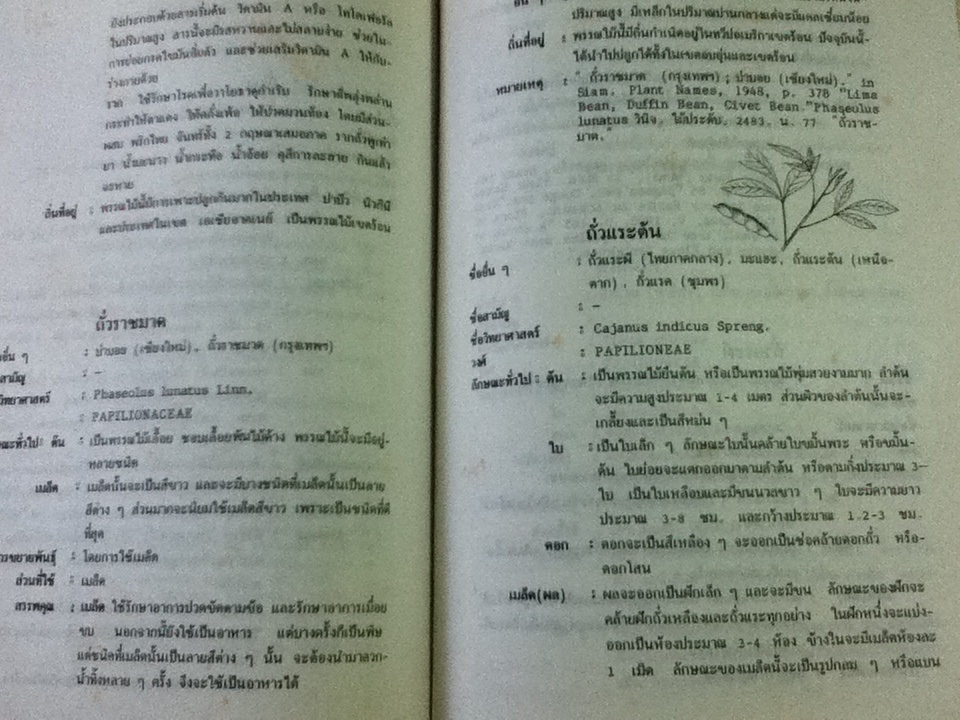 พจนานุกรมสมุนไพรไทย/ ดร.วิทย์ เที่ยงบูรณธรรม