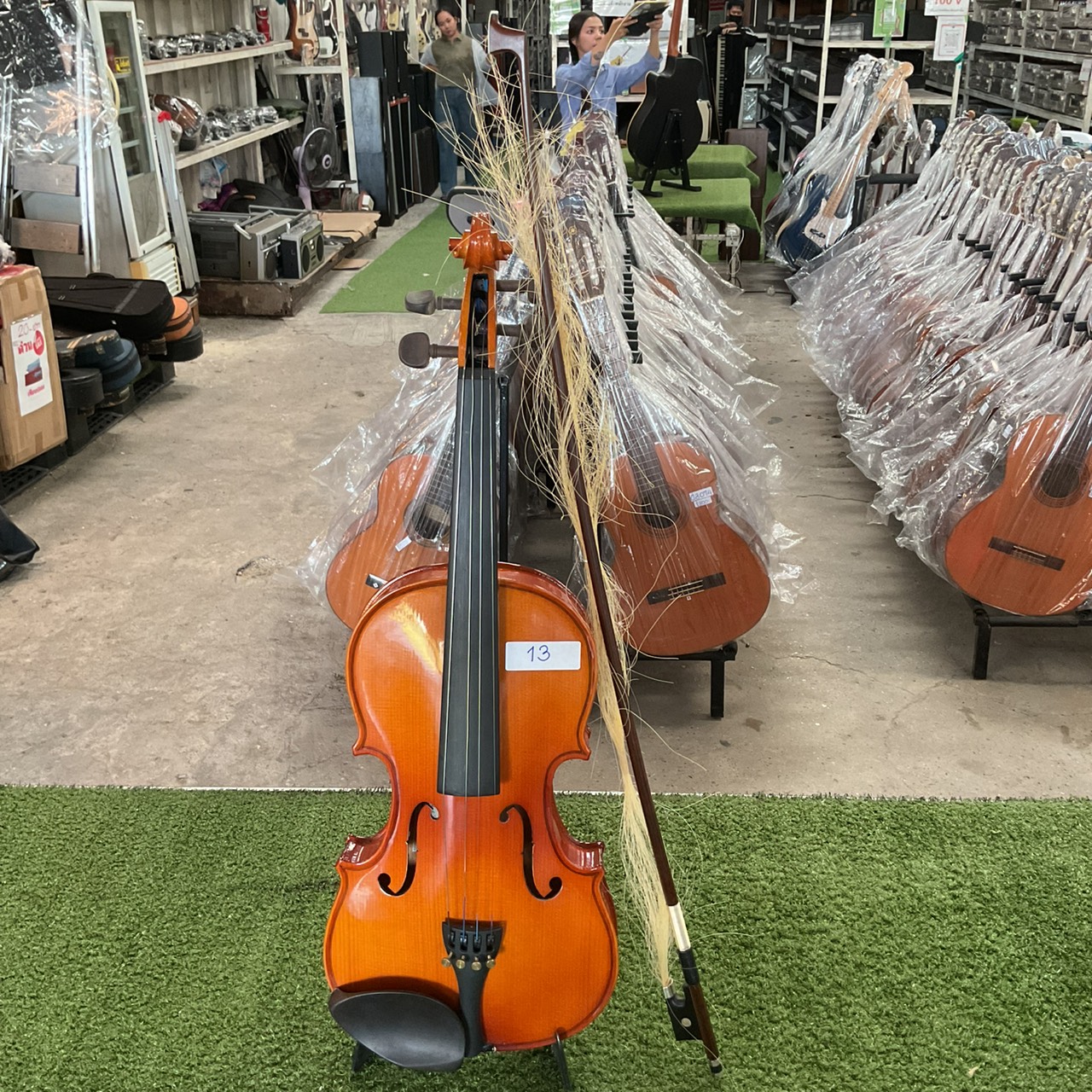 ไวโอลิน Stentor : RO69423