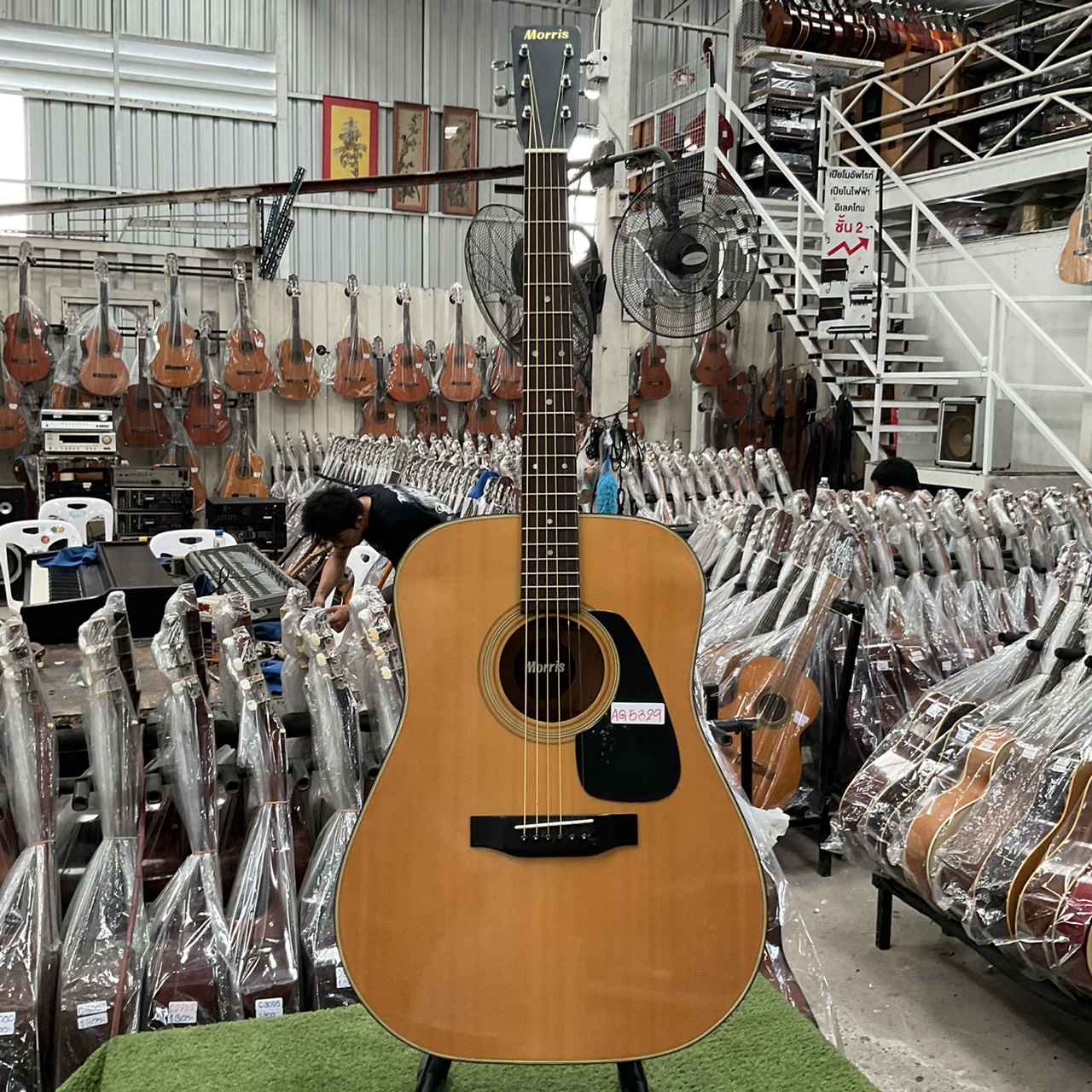 กีต้าร์โปร่ง Morris : MD-501